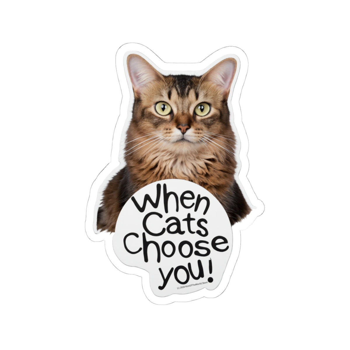 When Cats Choose You Sticker — Cute Cat Kiss-Cut Vinyl Sticker
