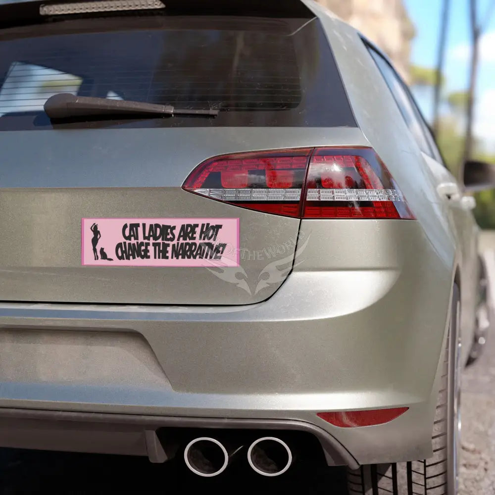 “Cat Ladies Are Hot Change the Narrative” Pink Funny Cat Lover Sticker - Car Magnet 10’’ × 3’’ / Rectangle / 1 pc Home