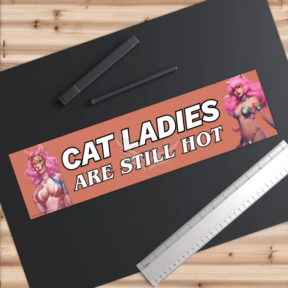 ’Cat Ladies are Still Hot’ Positive Messages Bumper Sticker — Uplifting Inspirational Quotes Paper products