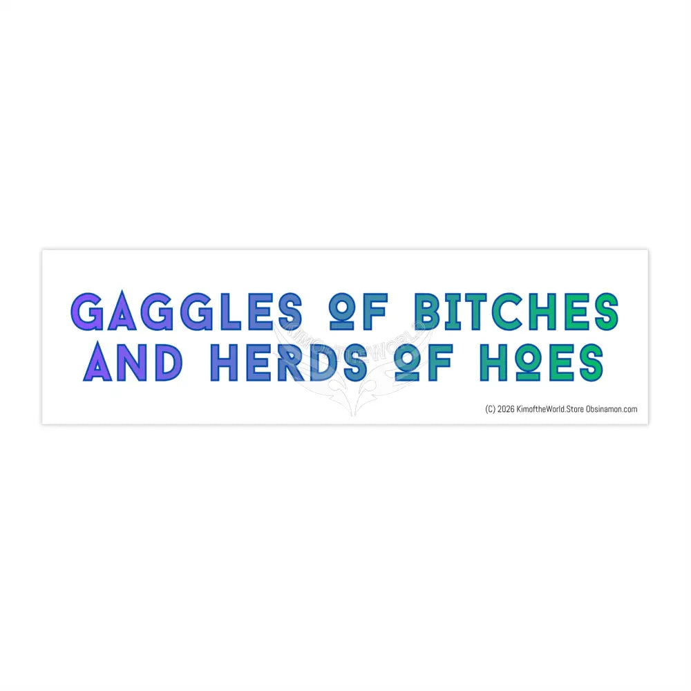 Gaggles of Bitches and Herds of Hoes’ Funny Witchy Messages Bumper Sticker — Uplifting Inspirational Quotes 11’’ × 3’’