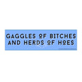 ’Gaggles of Bitches and Herds of Hoes’ Funny Witchy Messages Bumper Sticker — Uplifting Inspirational Quotes 11’’ × 3’’