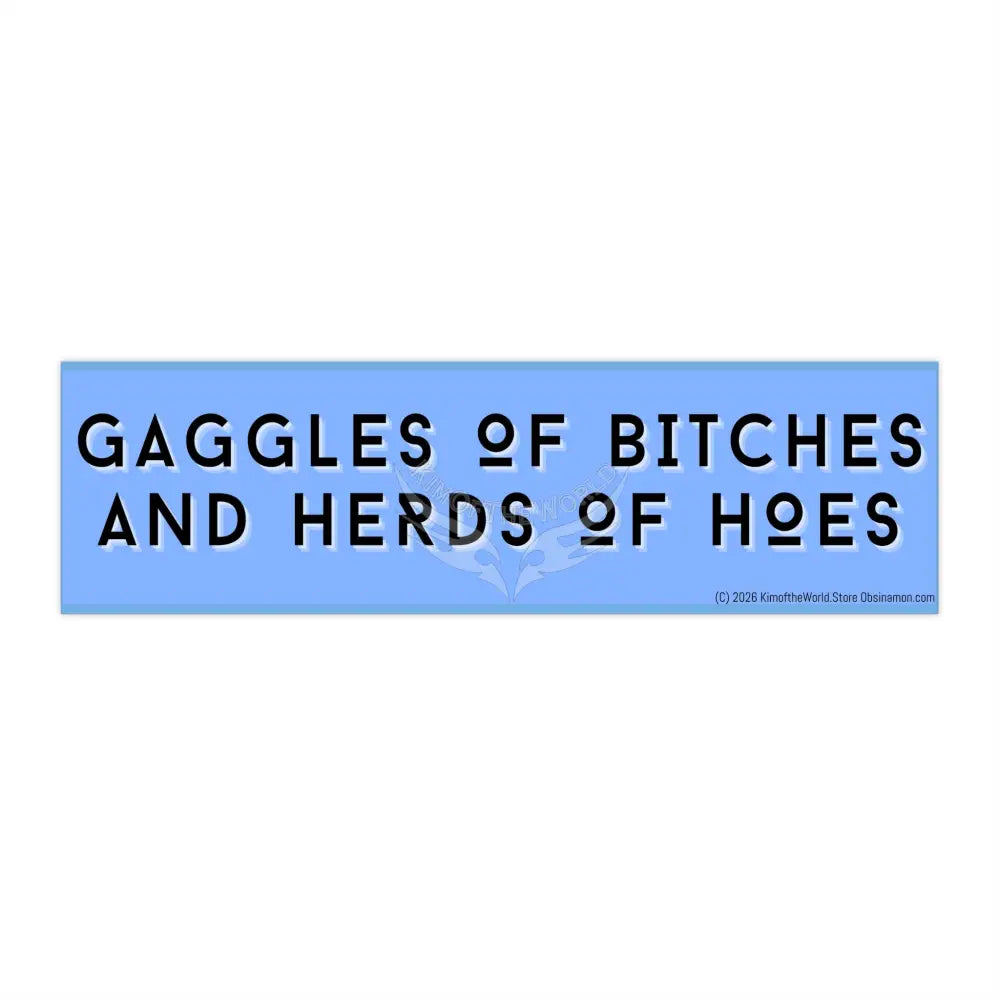 ’Gaggles of Bitches and Herds of Hoes’ Funny Witchy Messages Bumper Sticker — Uplifting Inspirational Quotes 11’’ × 3’’