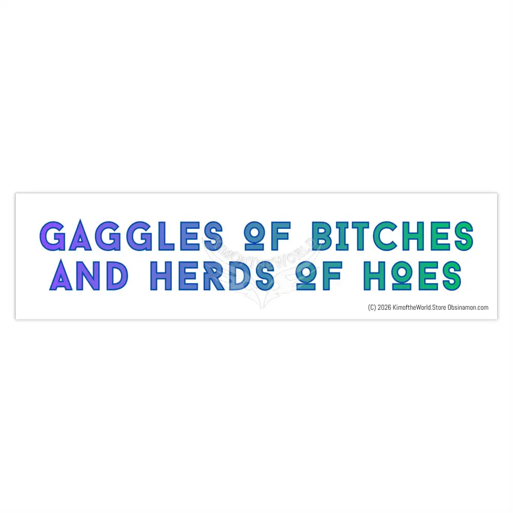 Gaggles of Bitches and Herds of Hoes’ Funny Witchy Messages Bumper Sticker — Uplifting Inspirational Quotes 15’’ ×