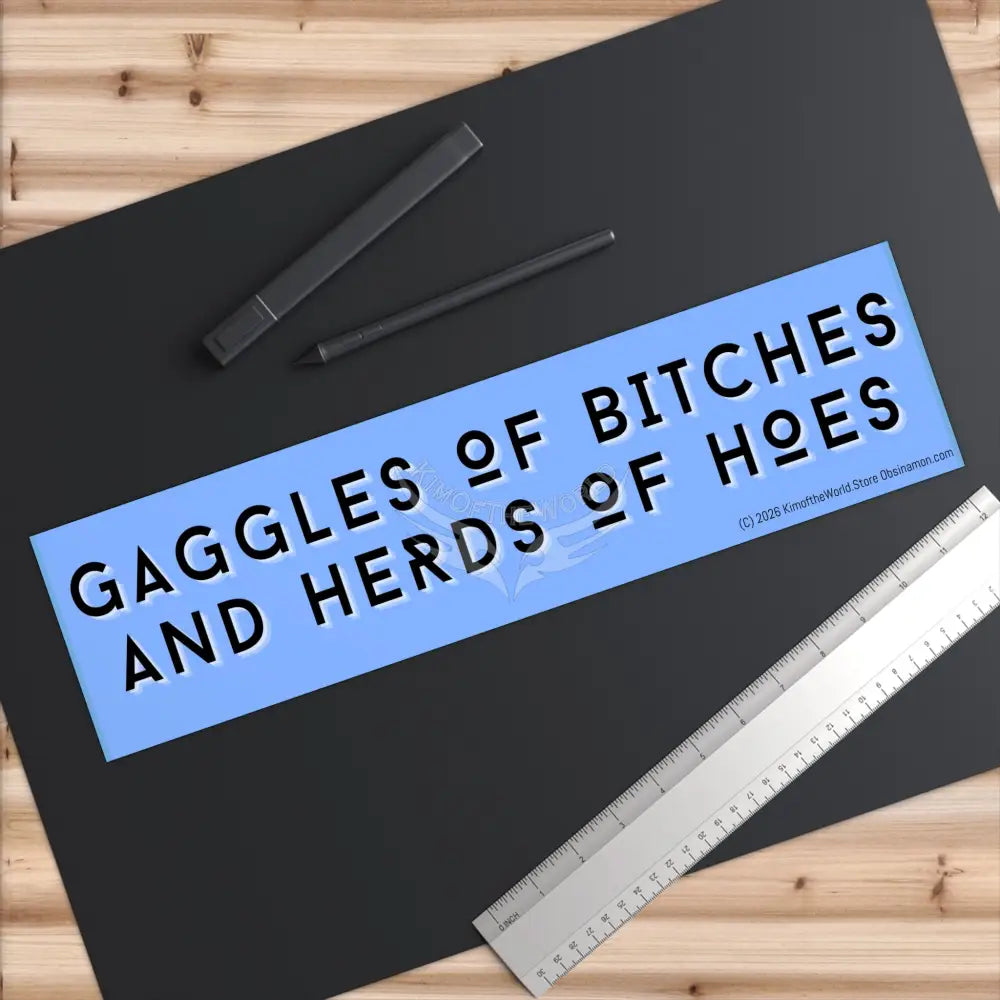’Gaggles of Bitches and Herds of Hoes’ Funny Witchy Messages Bumper Sticker — Uplifting Inspirational Quotes Paper