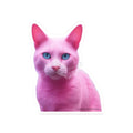 Pink Cat Kiss-Cut Sticker — Cute Retro Aesthetic Vinyl Decal for Laptops Skateboards & Water Bottles 6’’ × 6’’ / White