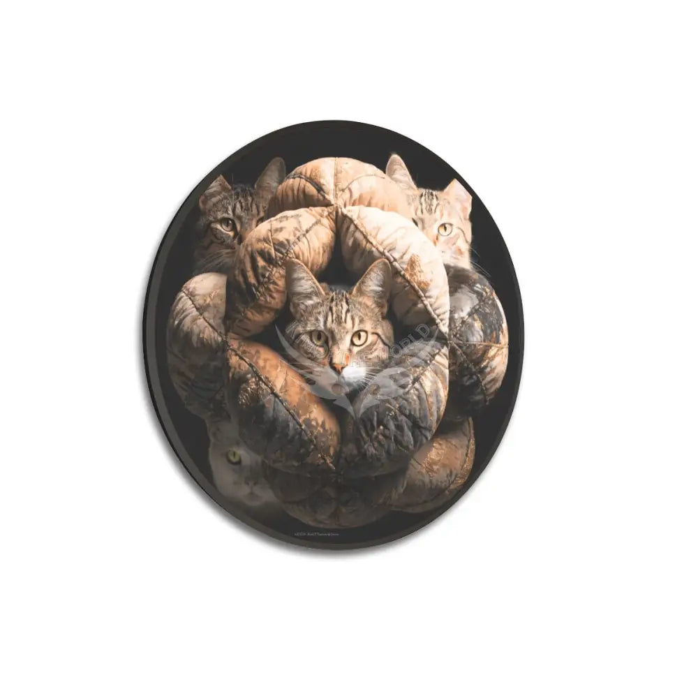 The Cat Pillows are Serious - Large Round Framed Canvas Prints Wall Art 32’’ Wall Art